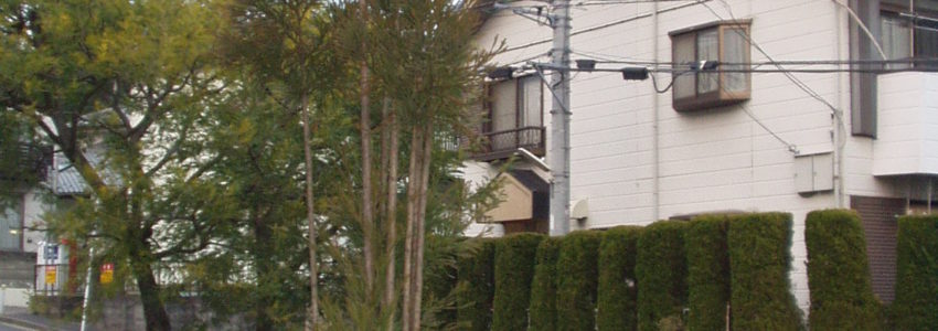 横浜市青葉区鴨志田 S邸 植木の植え替え工事 植木屋 造園 マンション植栽管理は神奈川 横浜市港北 都筑 植木屋ホシ